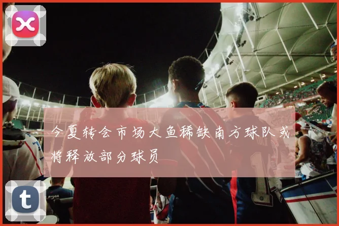今夏转会市场大鱼稀缺南方球队或将释放部分球员
